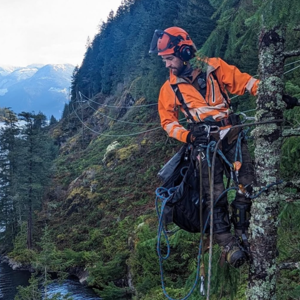 Arborist